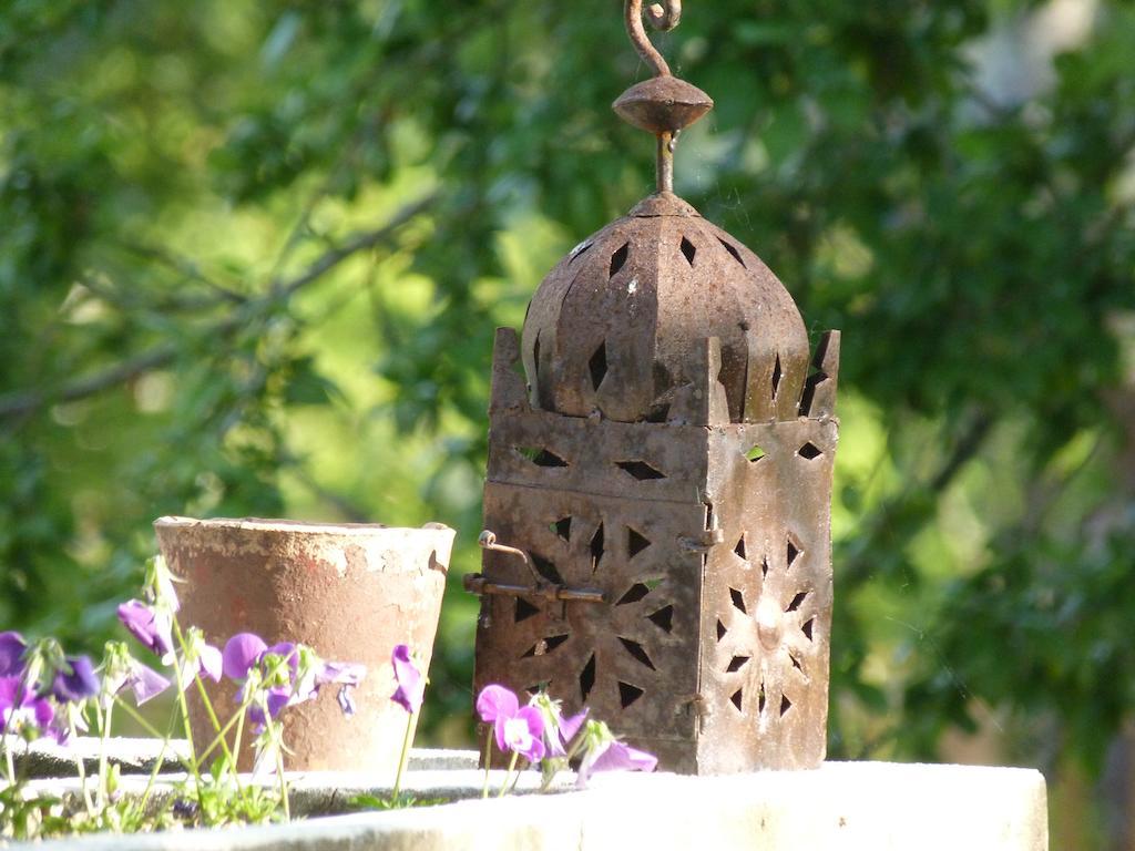 Domaine Des Deux Cedres Bed & Breakfast Gauriac Bagian luar foto